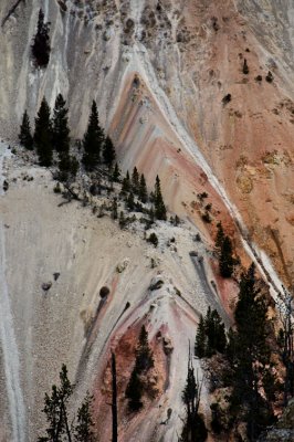 Grand Canyon of the Yellowstone Yellowstone National Park - October, 2008