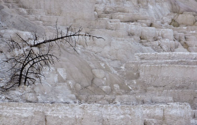 Dry Springs Yellowstone National Park - October, 2008