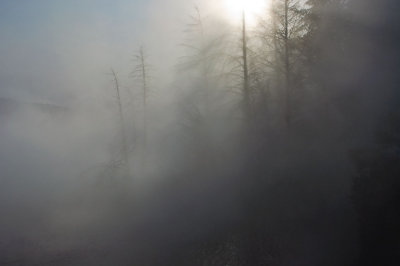 Misty Morning Yellowstone National Park - October, 2008