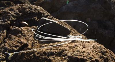 Fishing Line