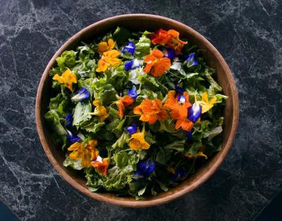 Abundance