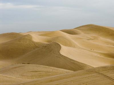 Tracks - Imperial Sand Dunes Recreation Area - California