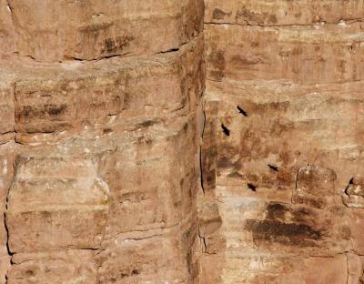 Cliff Flight - Navajo Bridge - Arizona