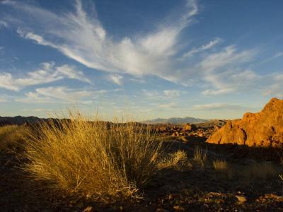 Descending Dove - Valley of Fire State Park, Nevada