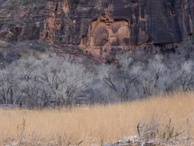 Layers of Zion Winter