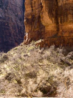 Layers of Canyon