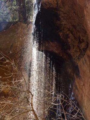 Beneath the Lower Emerald Pool Waterfall