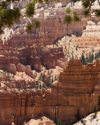 Bryce Canyon        Utah
