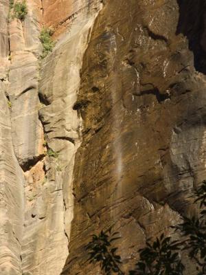 Late Summer Falls     Zion National Park, Utah