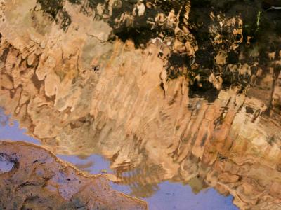 Reflected Canyon    Zion National Park, Utah