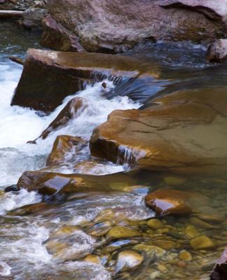 Virgin River Color    Zion National Park, Utah