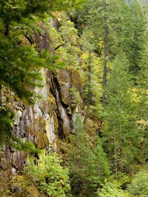 -Along Hwy 138-   Oregon