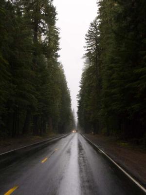 -Into the Storm-          Hwy 230  Oregon