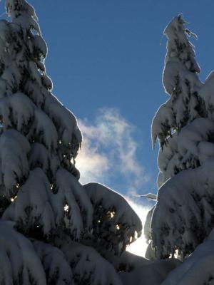 -Silhoette-               Crater Lake National Park, Oregon