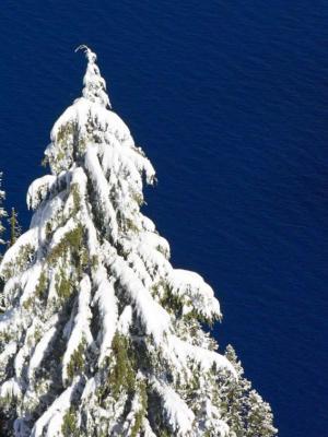 -Lake Blue- Crater Lake National Park, Oregon