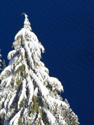 -Lake Blue-      Crater Lake National Park, Oregon