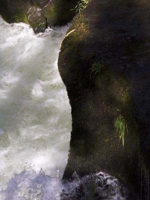 -Falls Abstract-        Rogue River Gorge, Oregon