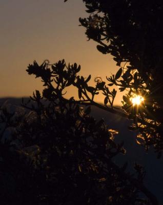 -Morning's Promise-     Mt. Whitney Portals, Lone Pine, California