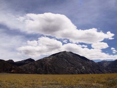 Death Valley Gold - Death Valley, California