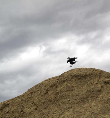 ...to Land  - Death Valley, California