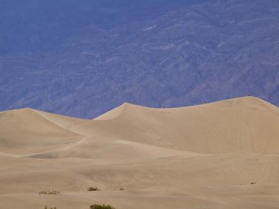 Photographer Dotted Dunes -Death Valley, California