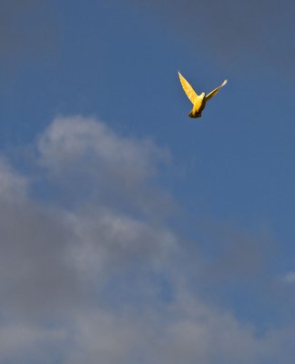 g3/61/302061/3/94736383.pb3gDkfH.jpg