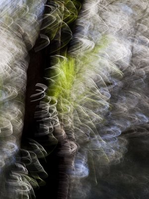 g3/61/302061/3/94737566.QCQsQLBH.jpg