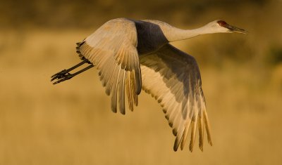 Early morning takeoff