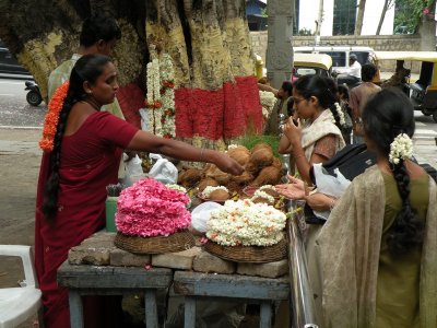 (close to) Bull Temple