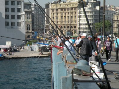 DSCN7170.JPG