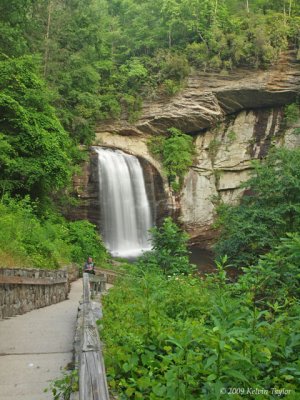 Looking Glass Falls 3