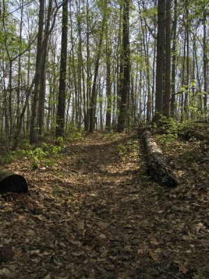 Main Trail