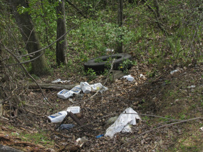 So much for the Keep NC Clean and Beautiful