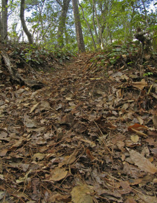 One of the steeper trails