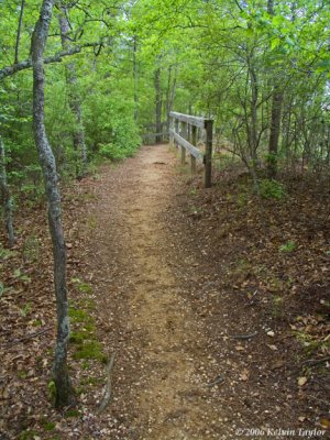 Trail view
