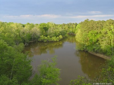 Neuse River at the overlook