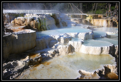 Yellowstone