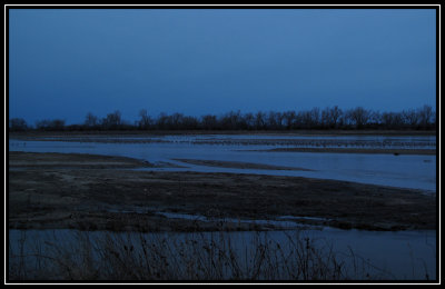 Early morning cranes