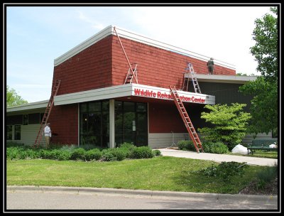 Wildlife Rehabilitation Center