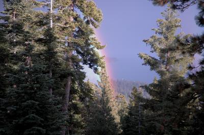 Tahoe Rainbow