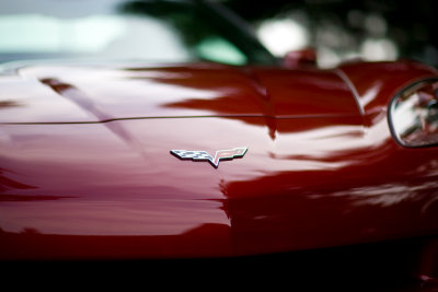 vette.jpg