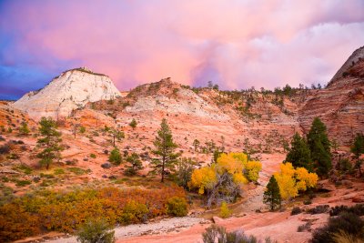 Zion light.jpg