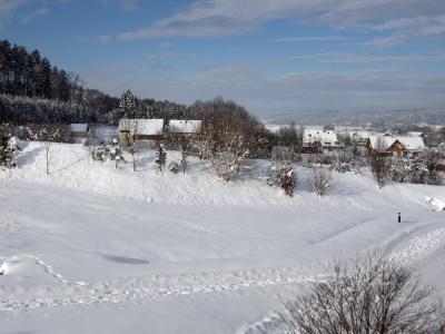 IMG_0253_5_1.JPG