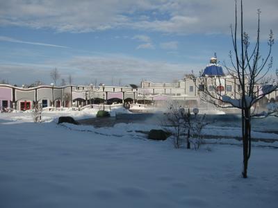 IMG_0257_9_1.JPG