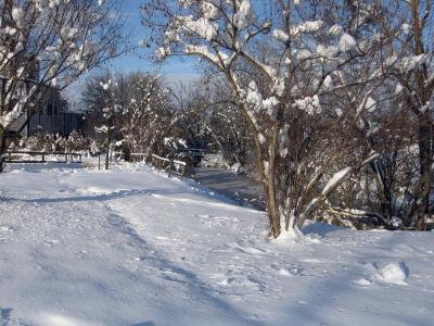 IMG_0269_21_1.JPG