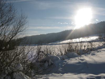 IMG_0270_22_1.JPG