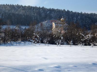 IMG_0272_24_1.JPG