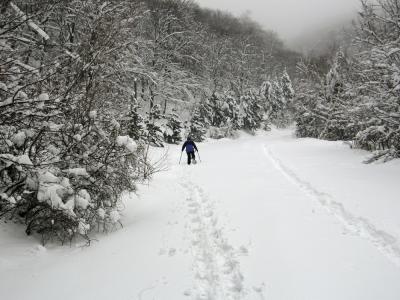 IMG_0290_4_1.jpg