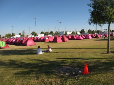 Sea of pink tents