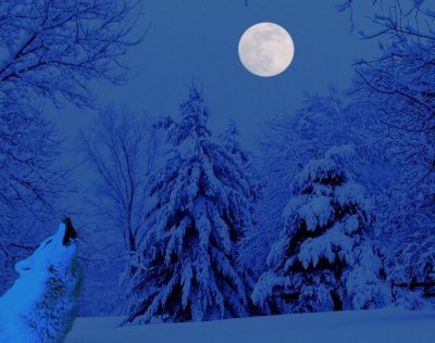 Winter of the Wolf Moon